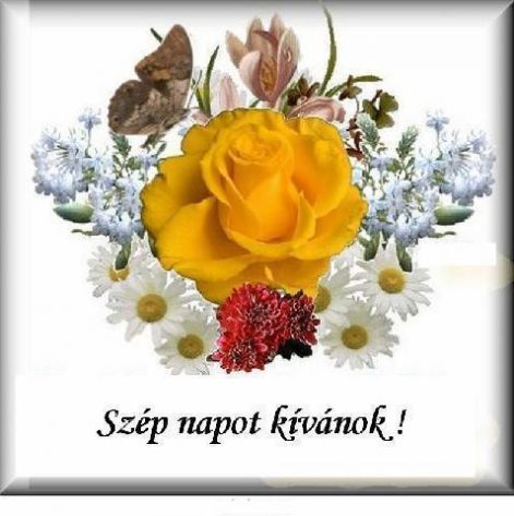 957435_szep_napot.jpg